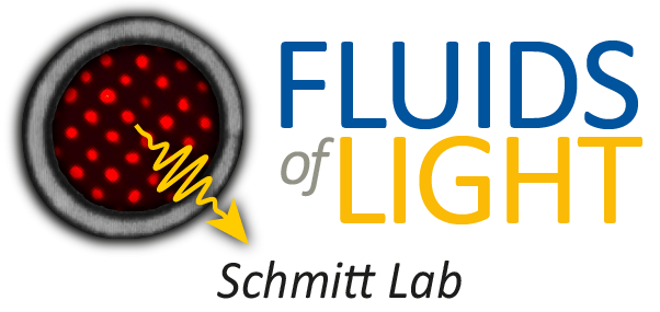 Quantum Fluids of Light